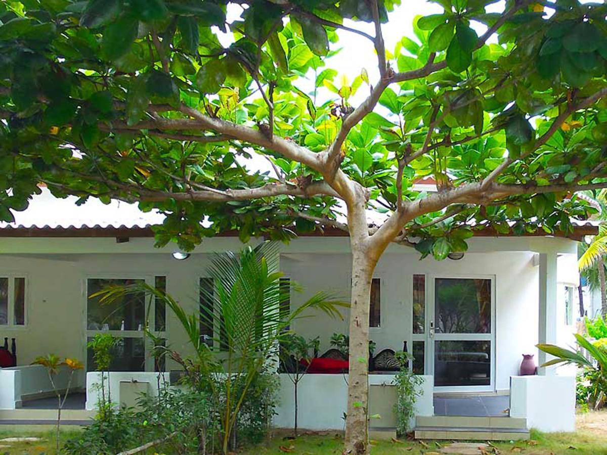 Hotel Village Vacances Awale Plage Grand-Popo Eksteriør bilde