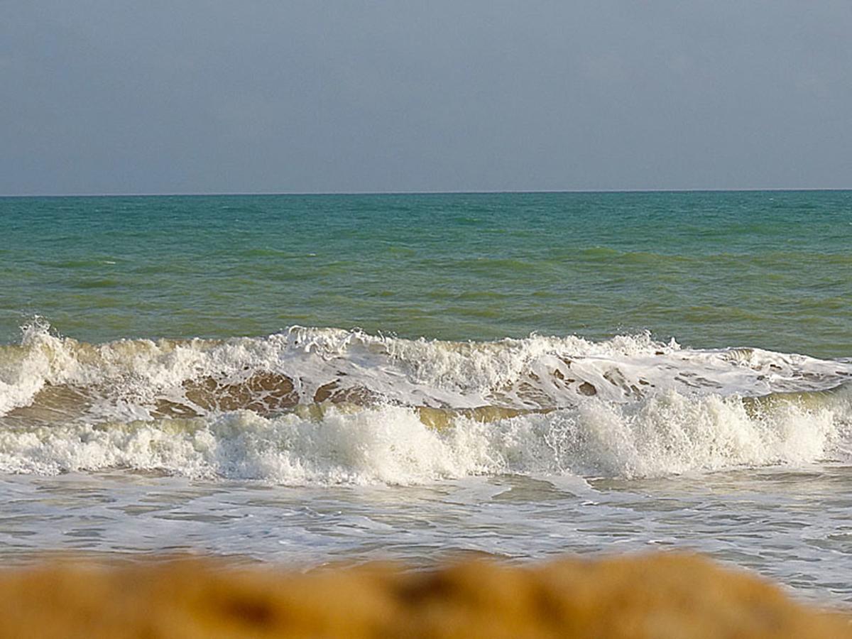Hotel Village Vacances Awale Plage Grand-Popo Eksteriør bilde